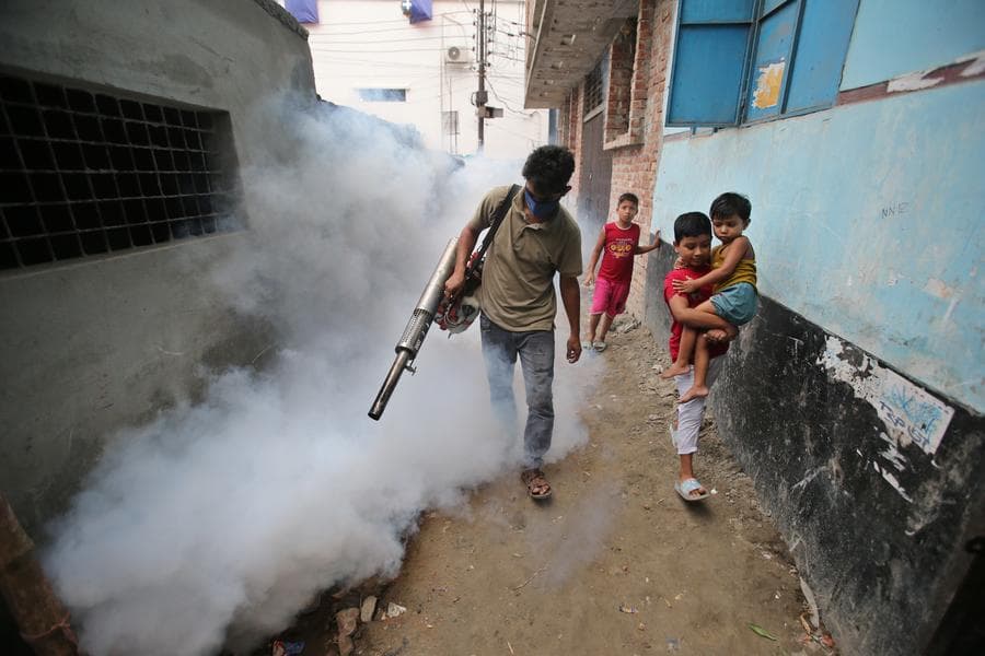 จีนช่วยเหลือประเทศหมู่เกาะแปซิฟิกรับมือ 'ไข้เลือดออก' ระบาดหนัก