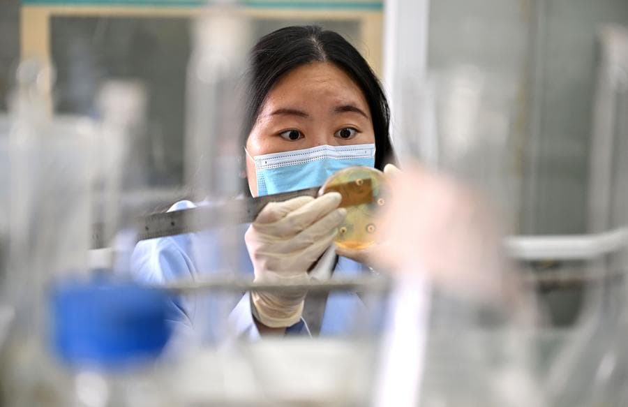 นักวิจัยจีนเพาะเลี้ยง 'ทูน่าครีบเหลือง' สำเร็จ ก่อตั้งฐานสาธิตกลางทะเล แห่งแรกของประเทศ