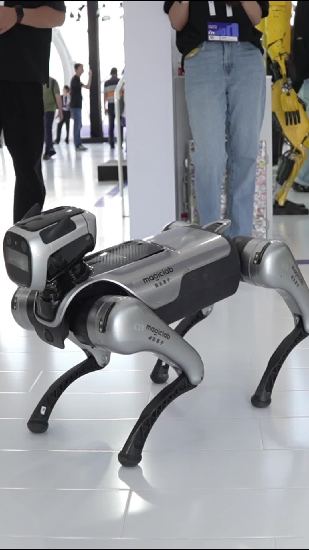 เมจิกด็อก' หุ่นยนต์สี่ขาแสนรู้ จับมือ-ตีลังกาโชว์ในเซี่ยงไฮ้