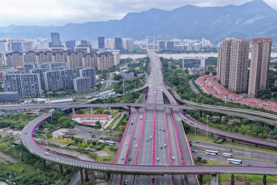 ดอกเฟื่องฟ้าบานสะพรั่ง แต้มสีสันทางยกระดับในฝูโจว