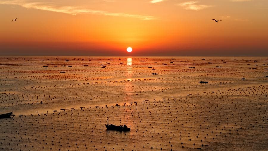 ชาวประมงออกล่องเรือ ทำงานกลางฟาร์มทะเลในซานตง
