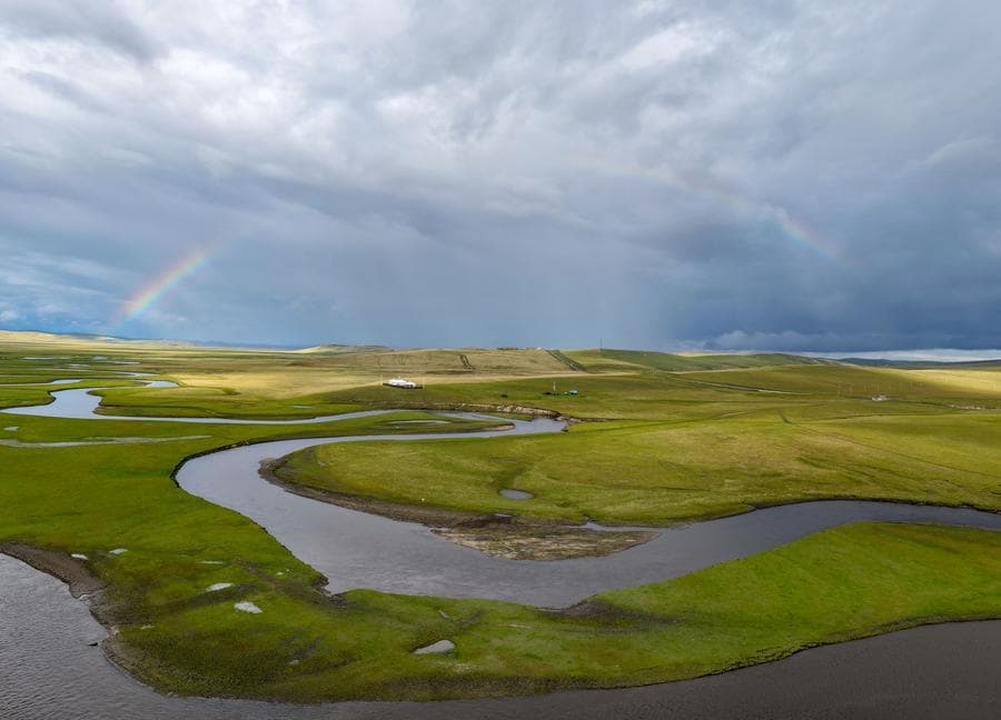 ทุ่งหญ้าเฉินปาเอ่อร์หู่' เขียวขจีในมองโกเลียใน