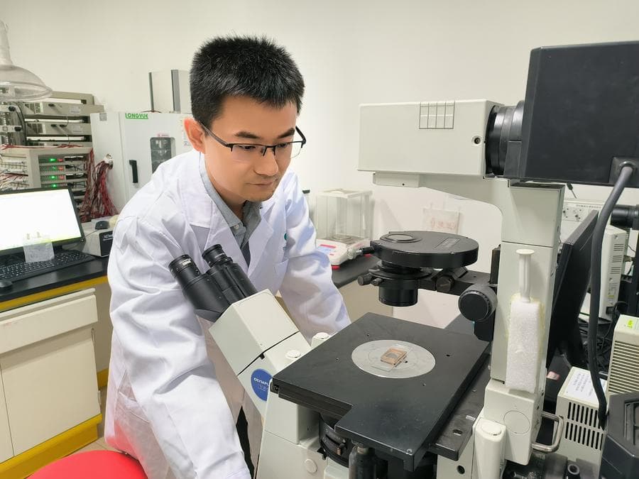 นักวิทย์จีนออกแบบ 'หุ่นยนต์จิ๋ว' เท่าเมล็ดข้าว ช่วยงานตรวจวัดในร่างกาย