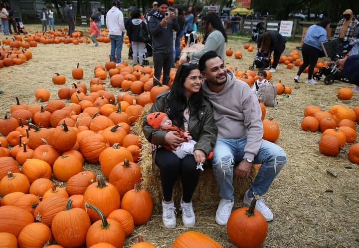 ผู้คนเยือน 'ลานขายฟักทอง' เตรียมฉลองฮาโลวีนในนิวยอร์ก