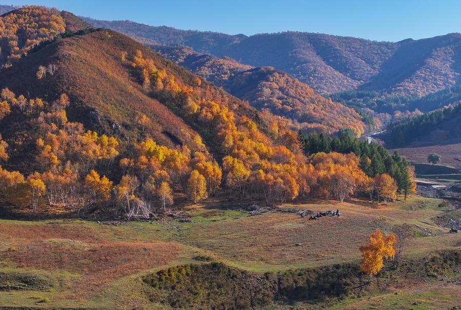 ทิวทัศน์ขุนเขาต้าชิ่งซาน ยามฤดูใบไม้ร่วงในมองโกเลียใน