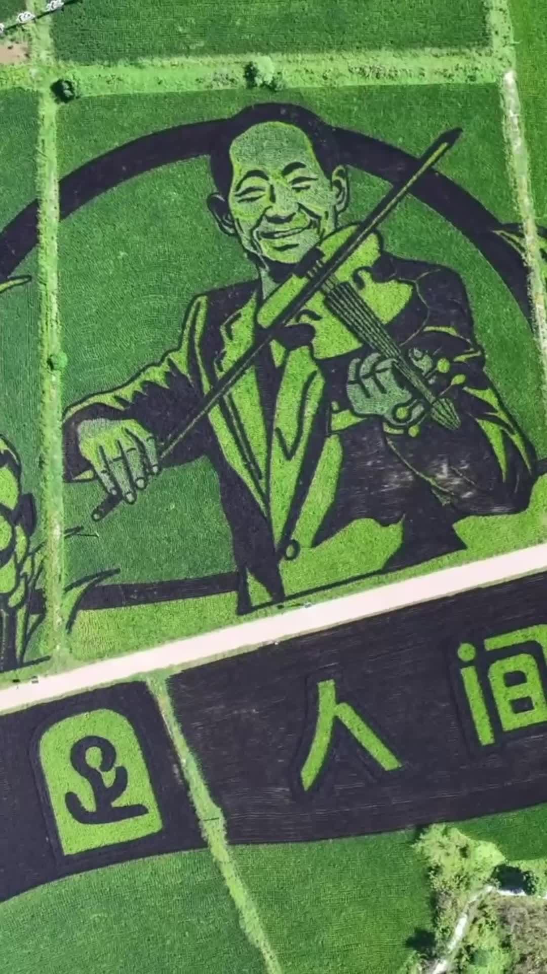 งานศิลป์แห่งท้องทุ่ง ข้าวหลากสีสู่ภาพวาดยักษ์ ฝีมือชาวนาในฉงชิ่ง