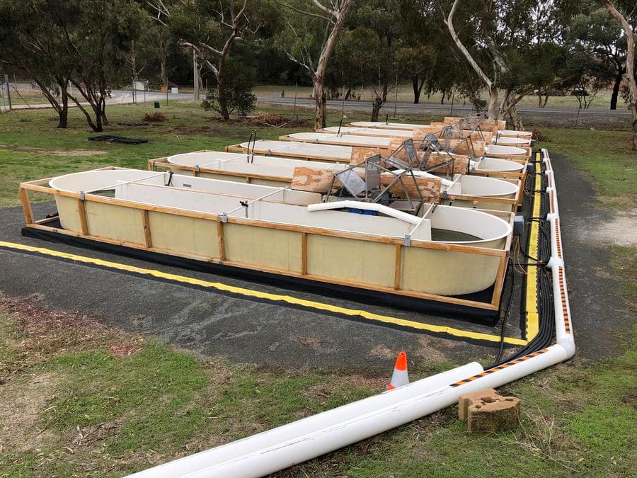 ศึกษาเผย โรงบำบัดน้ำเสียปล่อย 'ก๊าซแอมโมเนีย' สู่ชั้นบรรยากาศมากกว่าที่คาดไว้