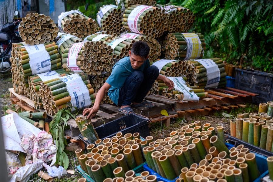 มาเลเซียเล็งขยายอุตฯ 'ไม้ไผ่' รองรับดีมานด์ตลาดโลก