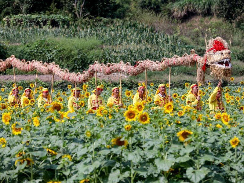 GLOBALink : ชาวบ้านอันฮุยเชิด 'มังกรฟาง' ฉลองเทศกาลไหว้พระจันทร์