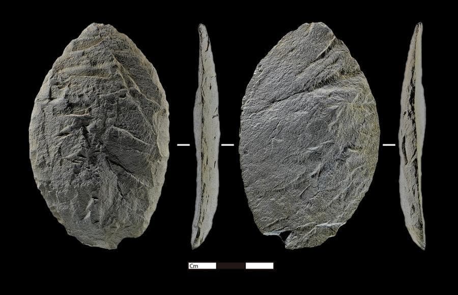 นักวิจัยจีนพบร่องรอยมนุษย์ยุคหิน ใช้ชีวิตบนที่สูงกว่า 4,300 เมตร แถบที่ราบสูงชิงไห่-ทิเบต