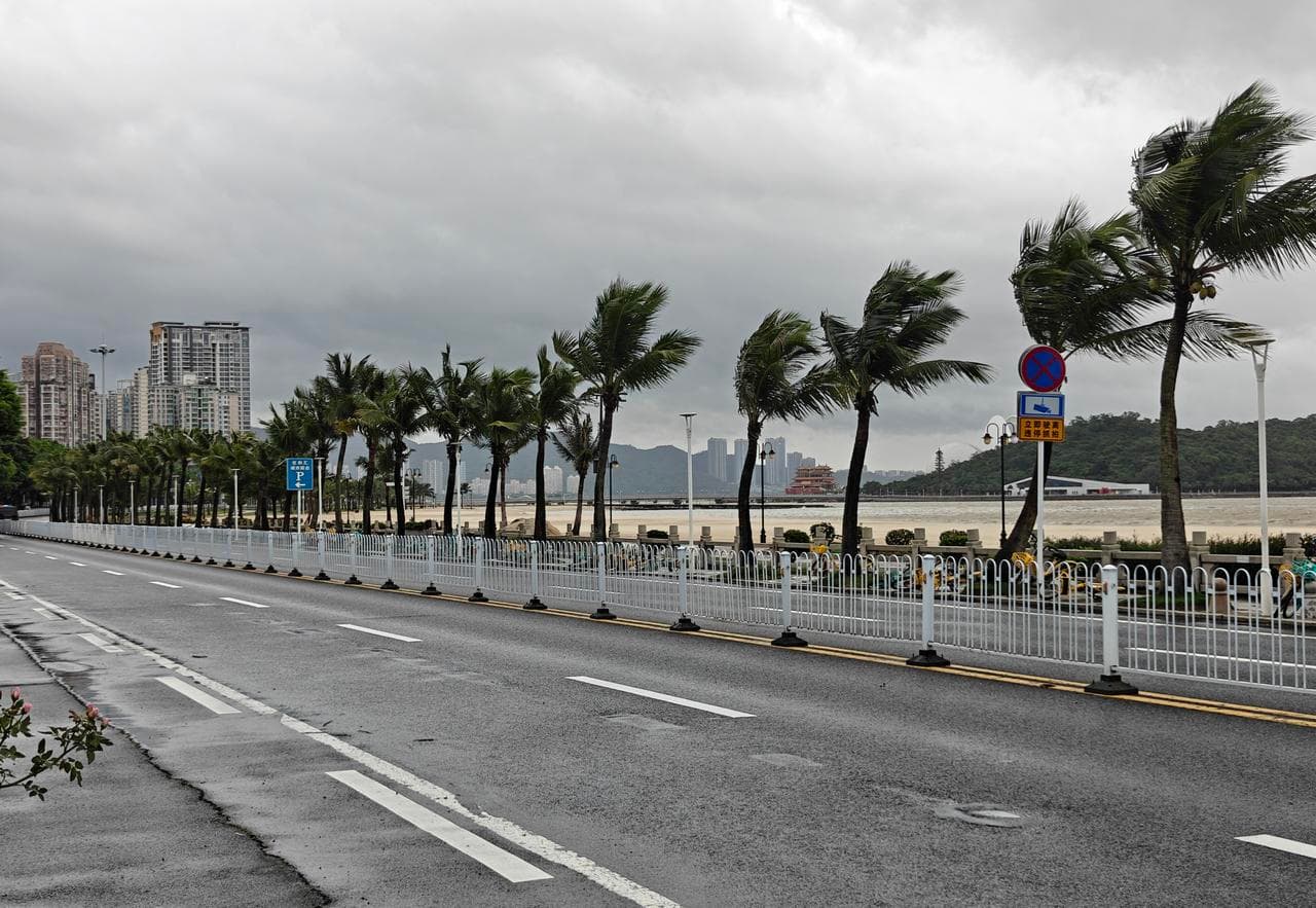 จีนเตือนภัย 'ลมแรง' พัดพาดผ่านหลายพื้นที่ของประเทศ