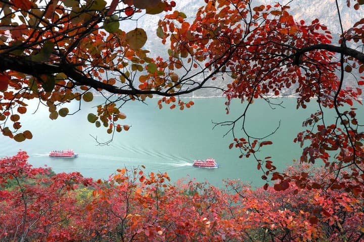 จีนบรรลุผลสำเร็จ 'ห้ามทำประมง 10 ปี' ตามแนวแม่น้ำแยงซี