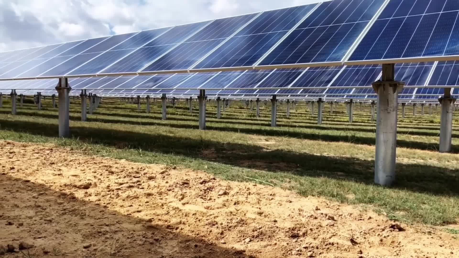 แผงโซลาร์เซลล์กลางทะเลทราย หนุนสร้างพื้นที่สีเขียว-เลี้ยงปศุสัตว์ในชิงไห่