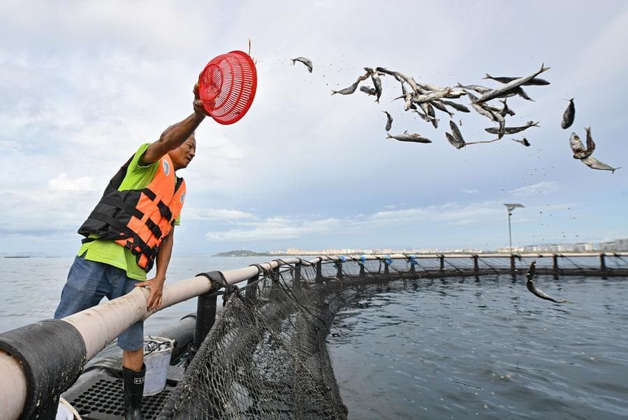 นักวิจัยจีนเผยแผนที่การสะสม 'สารเคมีตลอดกาล' ในปลาทะเลที่มนุษย์บริโภค