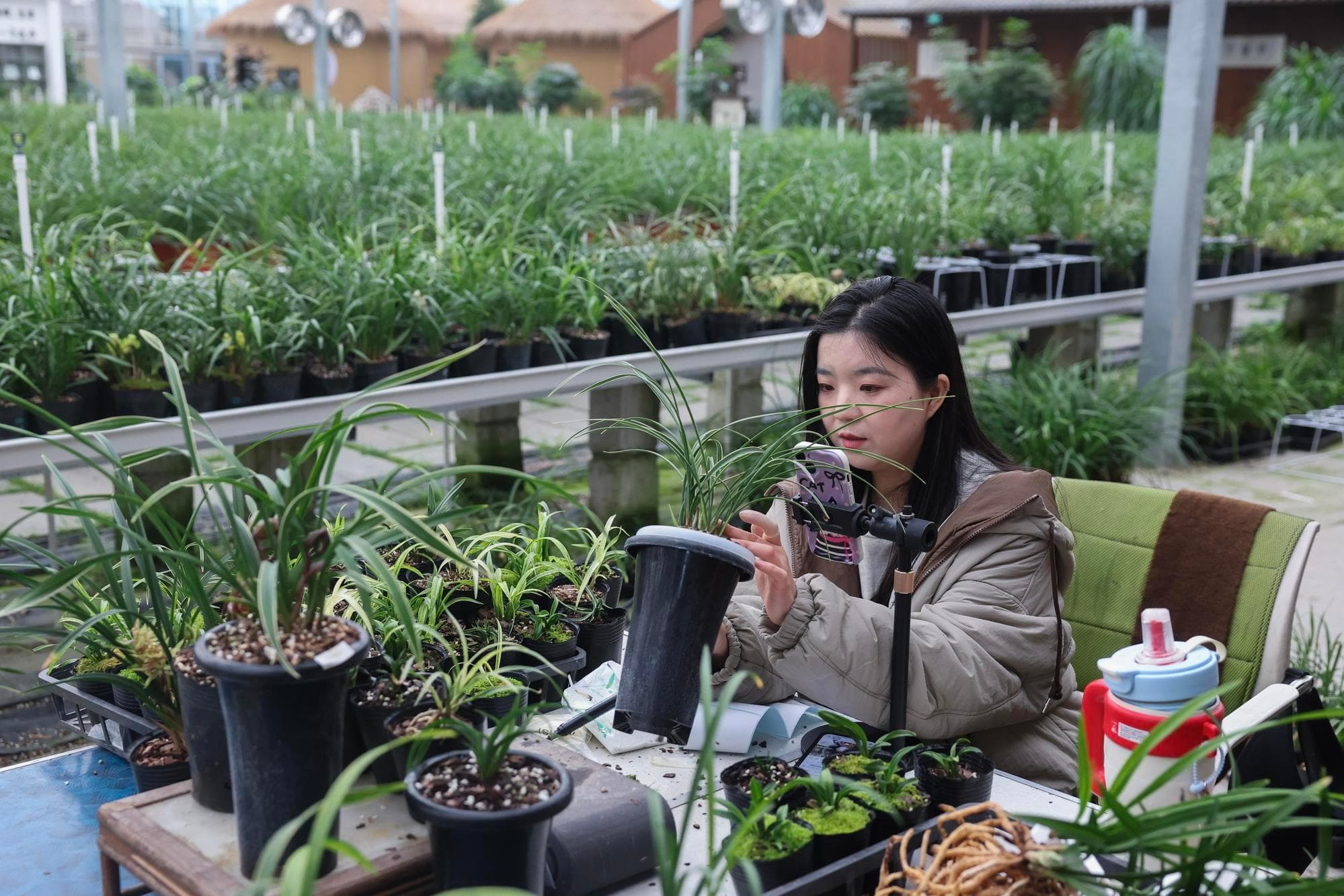 ชมชอป 'ตลาดดอกไม้เส้าซิง' ในเจ้อเจียง ซื้อขายคึกคักรับปีใหม่