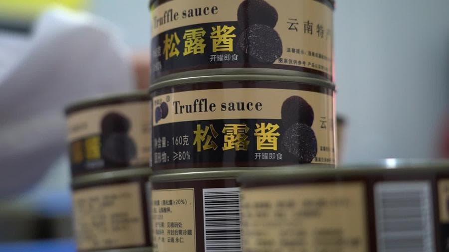 เห็ดทรัฟเฟิลยูนนาน : สินค้าท้องถิ่นจีน ประชันของนำเข้า หวังเจาะตลาดโลก