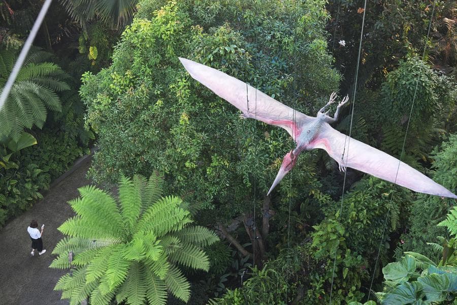 ศึกษาพบ 'ไดโนเสาร์มีขนคล้ายนก' บางชนิดบินไม่ได้ สะท้อนวิวัฒนาการการบินซับซ้อน