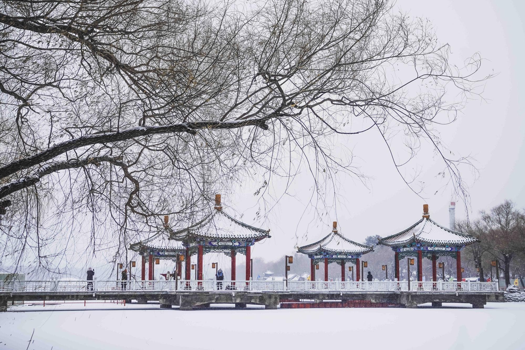 หิมะตกย้อมสี 'ฉางชุน' ขาวโพลนหลายพื้นที่