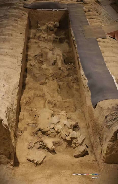 จีนพบ 'รถม้าโบราณ' 2 คัน นอกสุสานจิ๋นซีฮ่องเต้