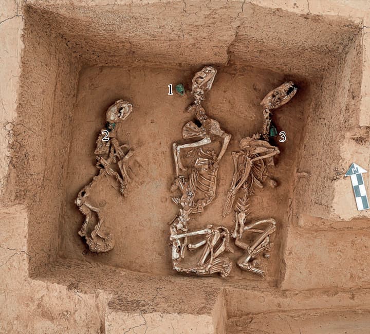 จีนขุดสุสานหลวงในเหอหนาน พบเงื่อนงำ 'โรงเลี้ยงสัตว์ป่า' เก่าแก่สุดกว่า 3,000 ปี