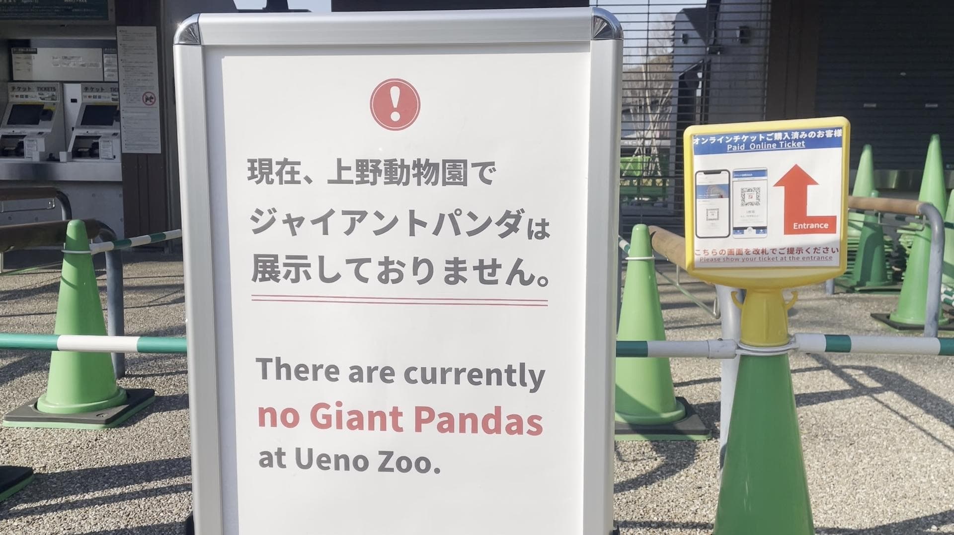 ญี่ปุ่นส่ง 'แพนด้ายักษ์แฝด' คู่สุดท้ายกลับจีน ไร้แพนด้ายักษ์ครั้งแรกในรอบ 50 ปี