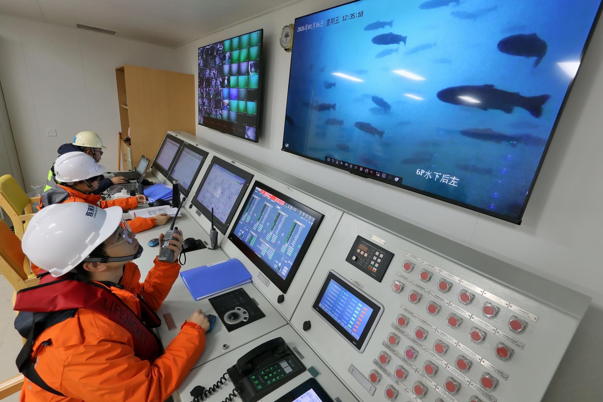 ซานตงขนถ่าย 'ลูกปลาแซลมอน' ขึ้นเรือเพาะเลี้ยง 1.6 แสนตัว