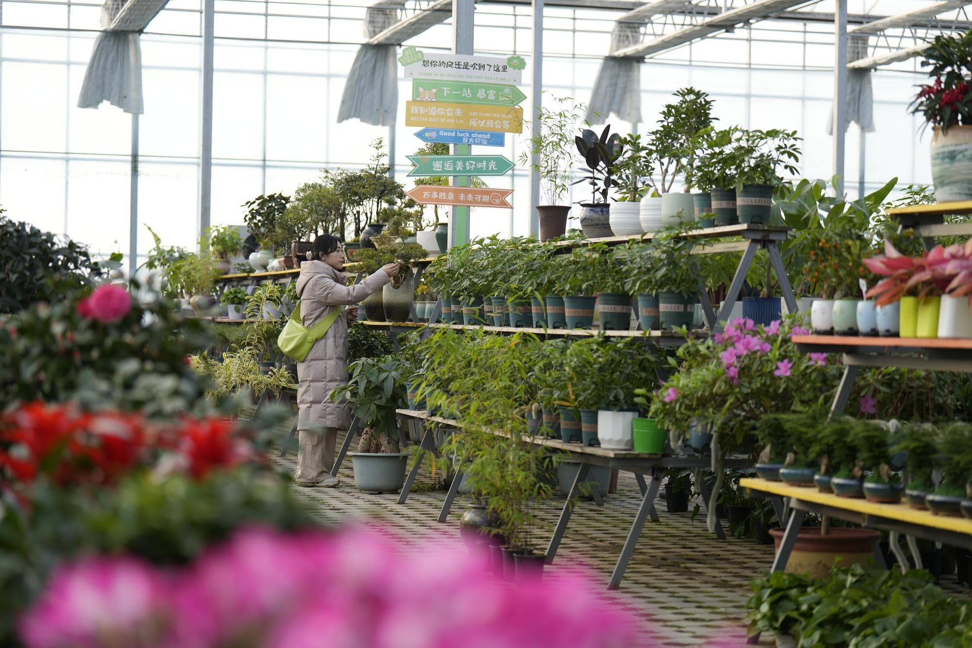 โรงเรือนกระจกปลูกไม้ดอกไม้ผล ช่วยเกษตรกรสร้างรายได้ในฤดูหนาว