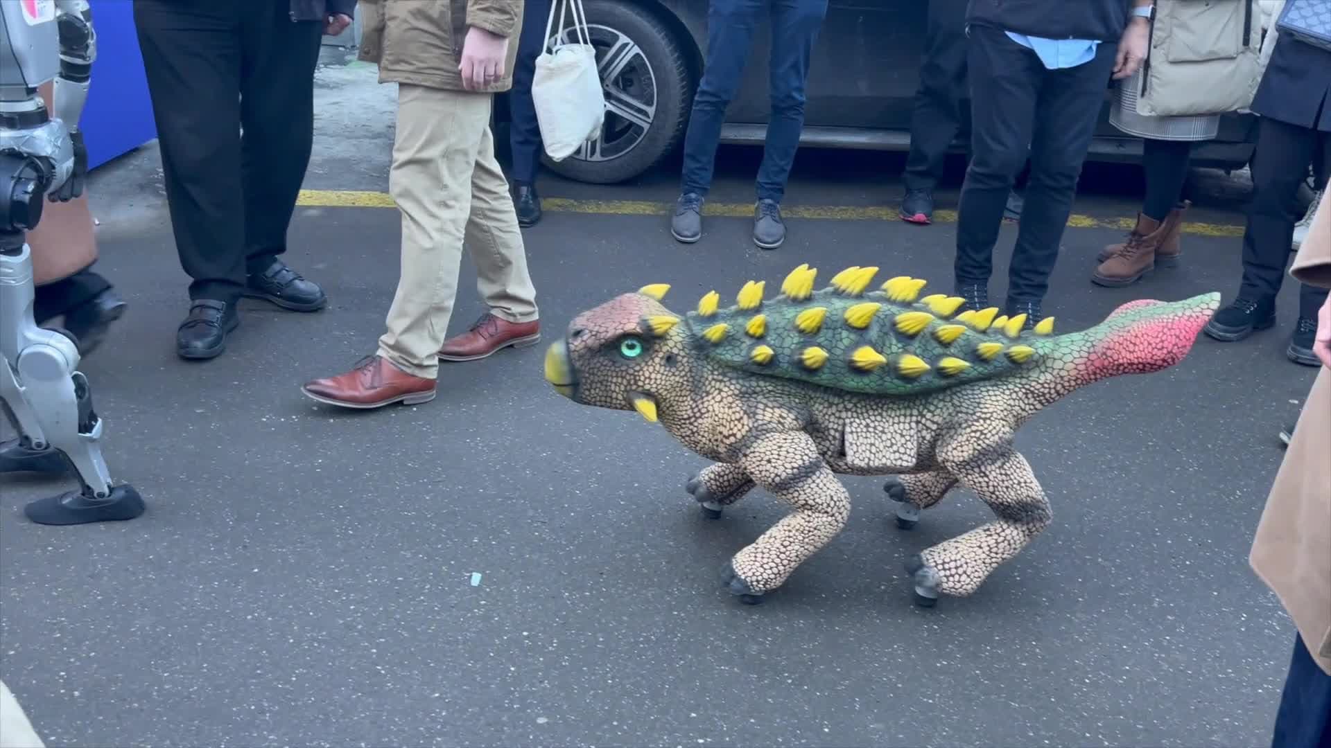 แก๊ง 'หุ่นยนต์จีน' สร้างสีสันบนถนนในสวิตเซอร์แลนด์