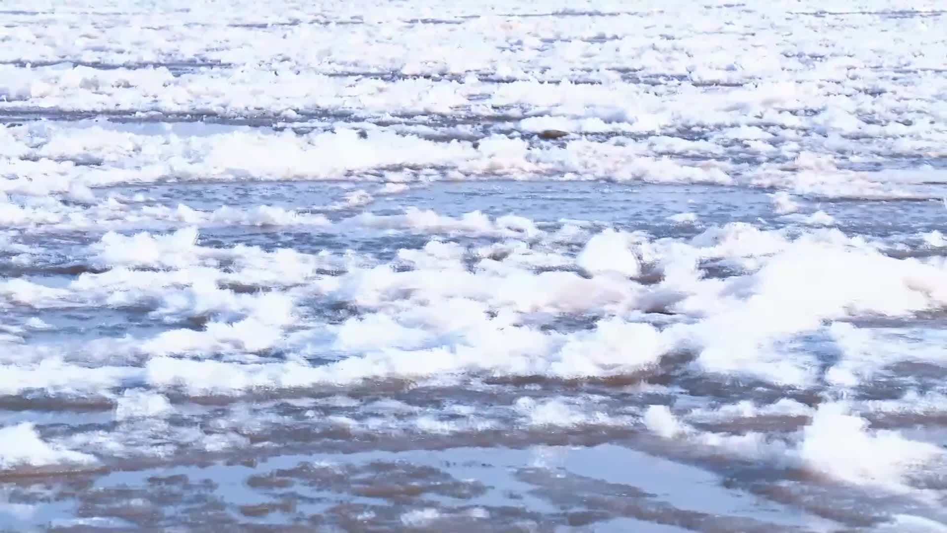 มวลน้ำแข็งขาวดังดอกไม้เบ่งบาน ลอยประดับแม่น้ำเหลืองในหนิงเซี่ย