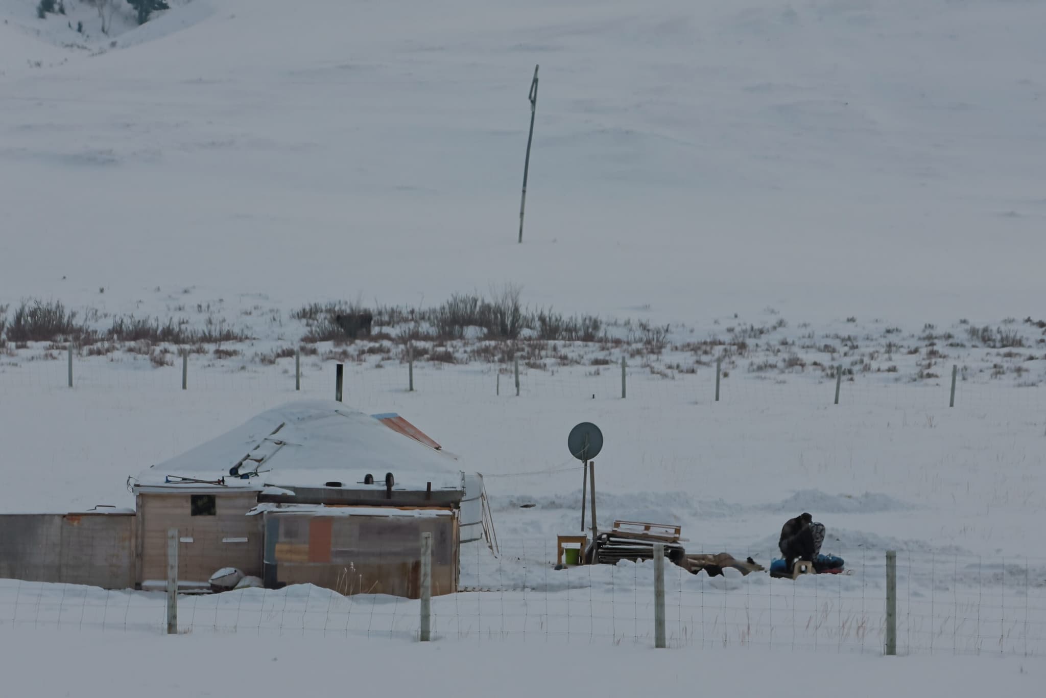 มองโกเลียเผย 9 จังหวัดกำลังเผชิญสภาพอากาศ 'ซูด