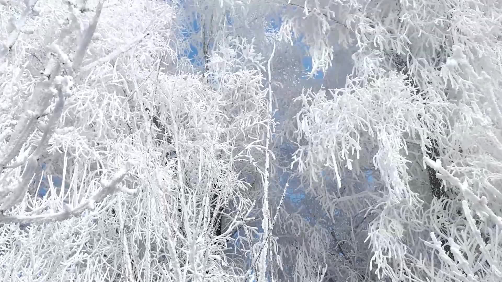 ทิวทัศน์ 'น้ำค้างแข็ง' ริมแม่น้ำ ธรรมชาติตระการตาในจี๋หลิน