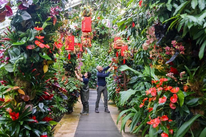 สวนพฤกษศาสตร์ในลอนดอน จัดเทศกาล ‘กล้วยไม้’ แรงบันดาลใจจากจีน