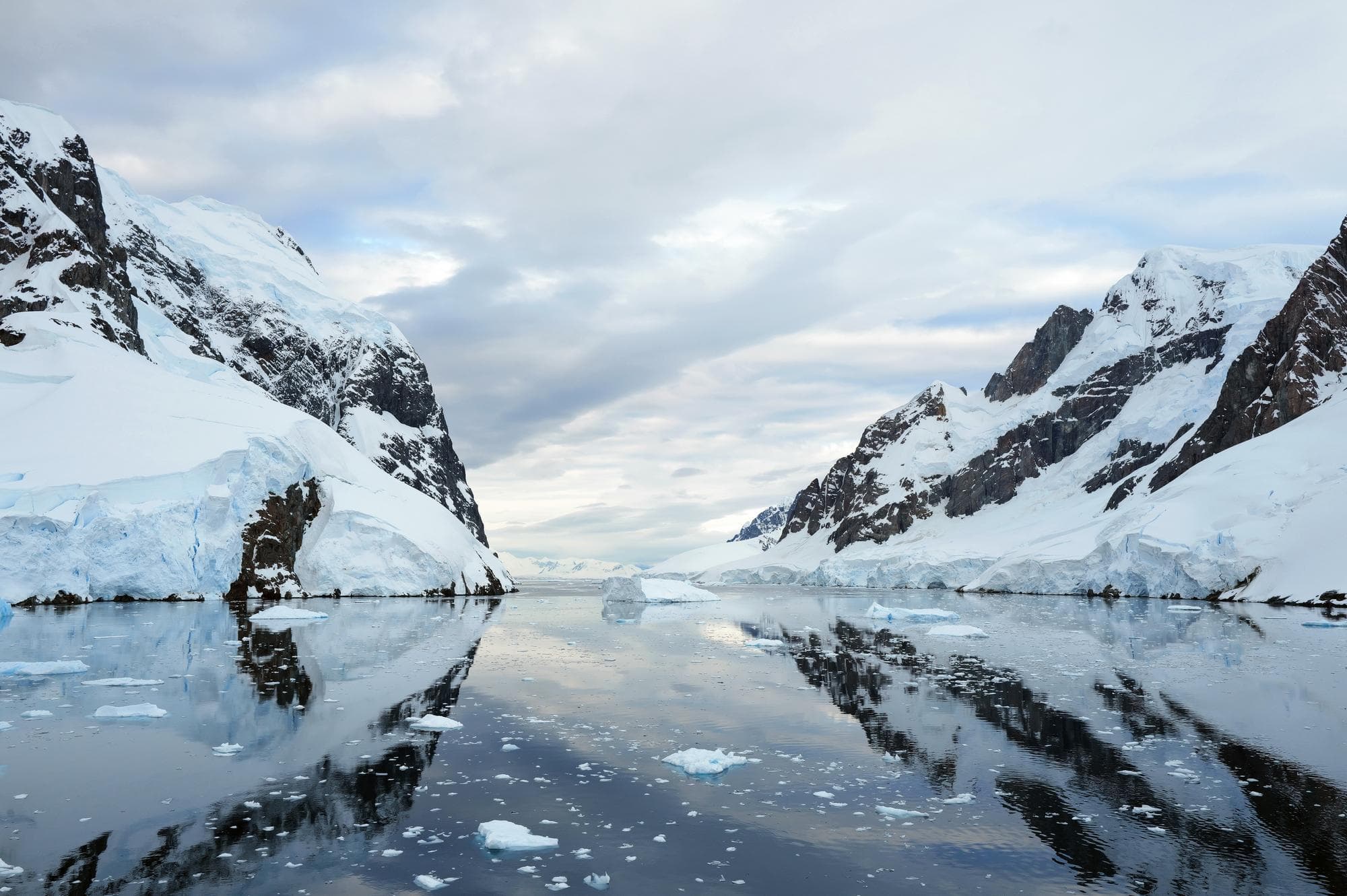 นักวิทย์ทดสอบ eDNA หวังพิทักษ์ ‘แอนตาร์กติก’ จากสิ่งมีชีวิตต่างถิ่นผู้รุกราน