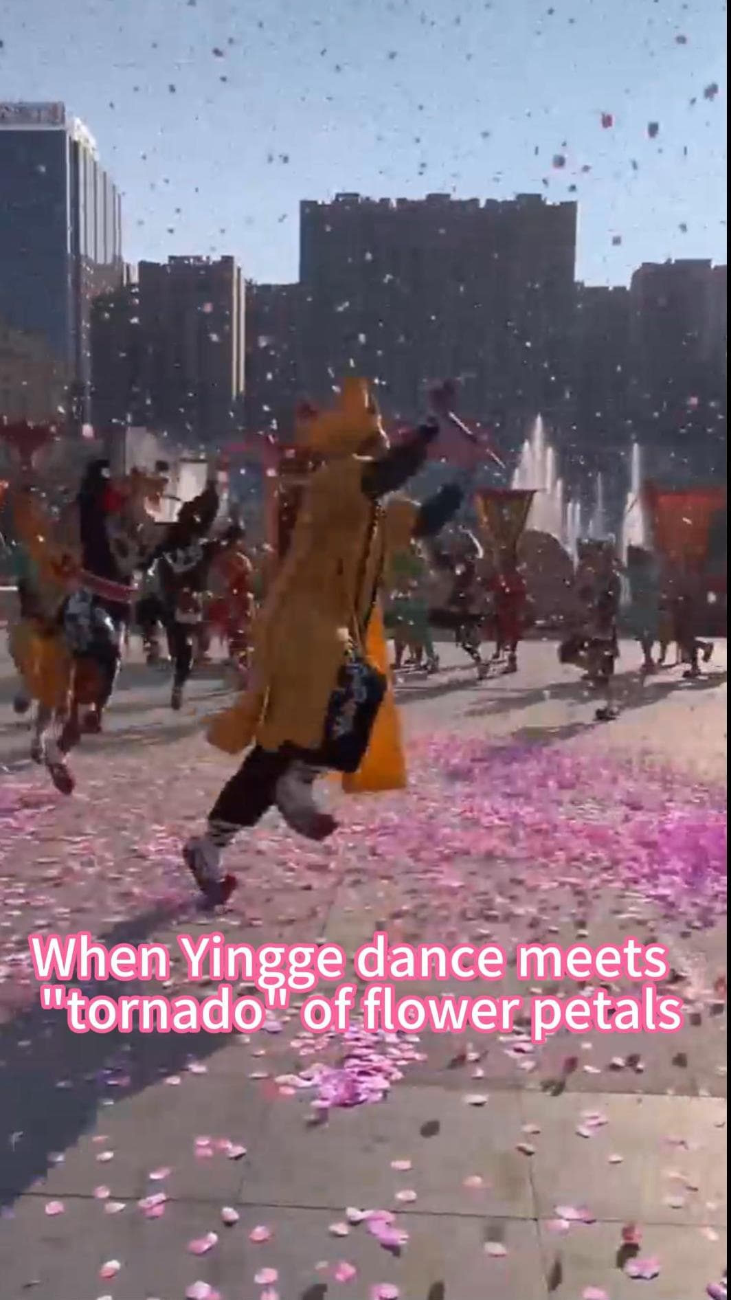 มาได้จังหวะ! กลีบดอกไม้ปลิวหมุน เติมมนต์ขลัง ‘ระบำอิงเกอ’ ในกวางตุ้ง