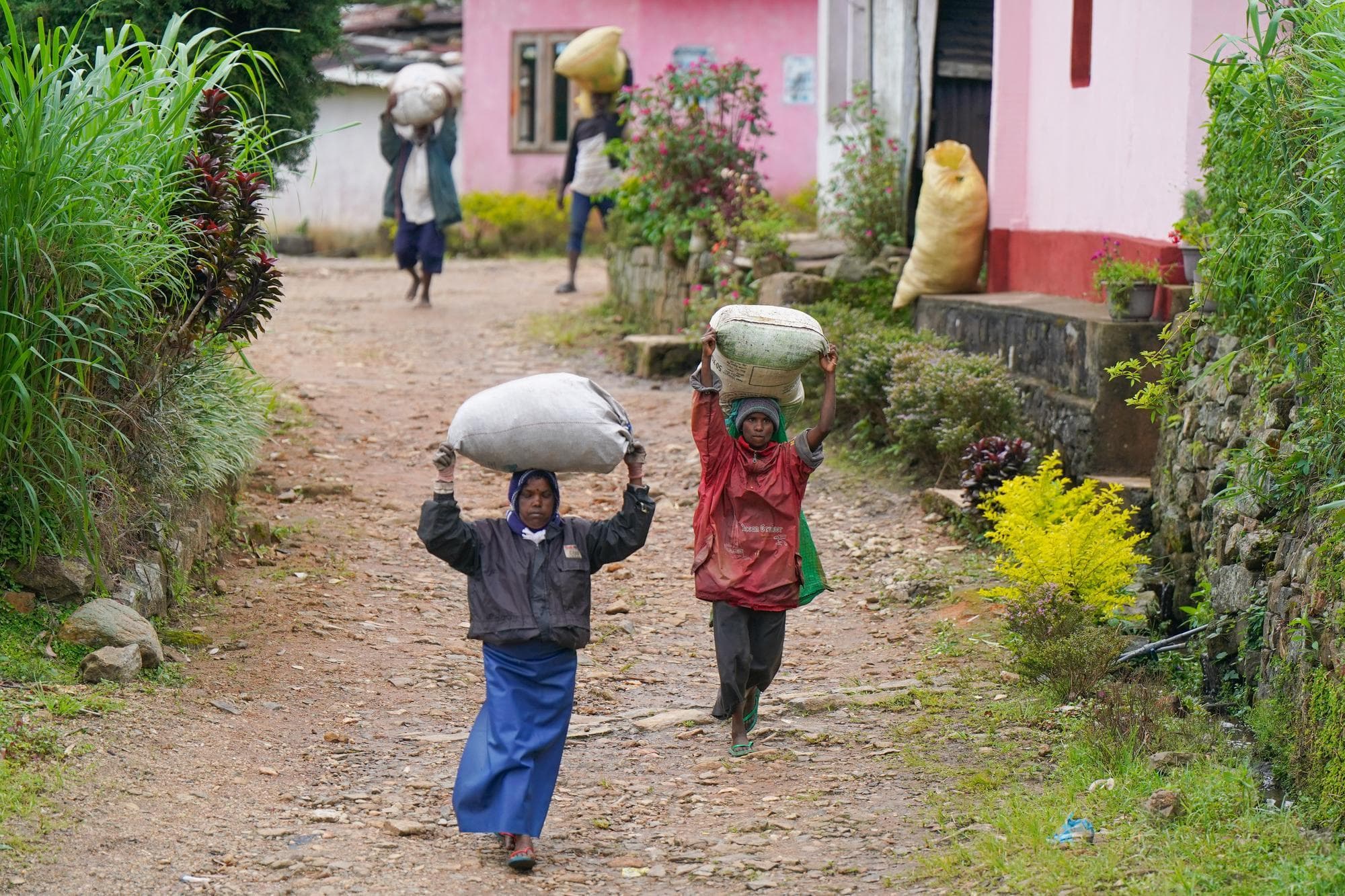 ศรีลังกาอนุญาต ‘แรงงานผู้หญิง’ ทำงานกะกลางคืนในงานสุขาภิบาล-บริการอาหาร