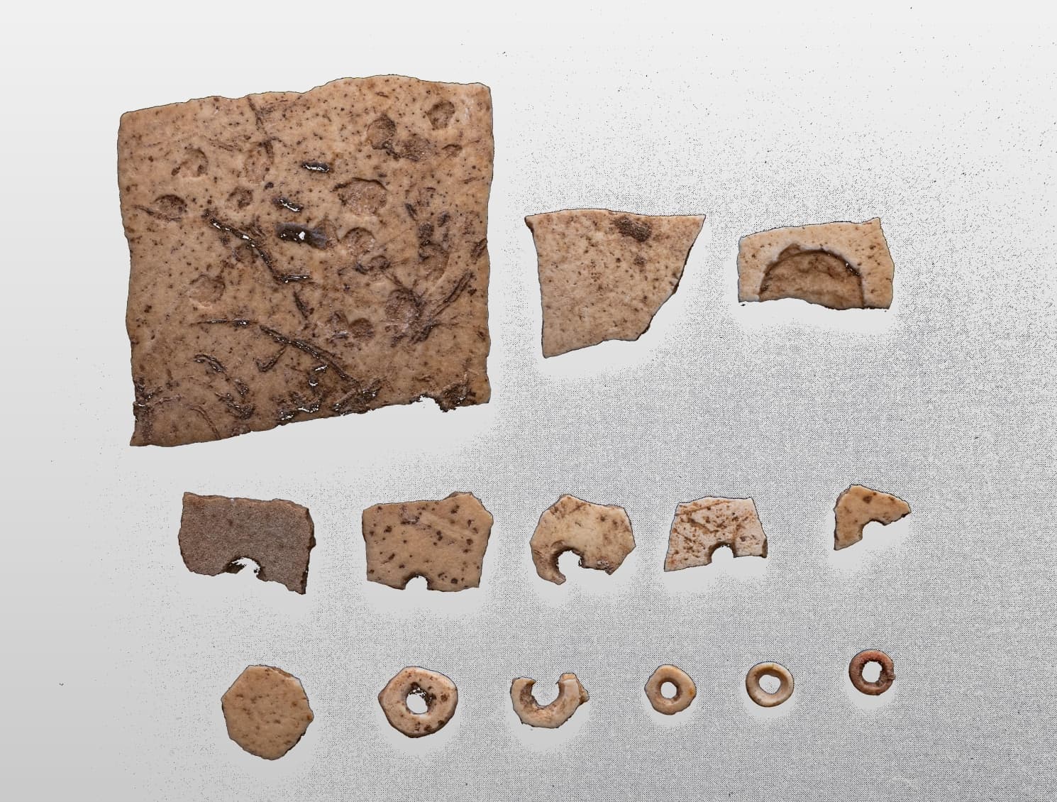 จีนพบซากแหล่งผลิตเครื่องใช้จาก ‘เปลือกไข่นกกระจอกเทศ’ เก่า 2.6 หมื่นปีในเหอหนาน