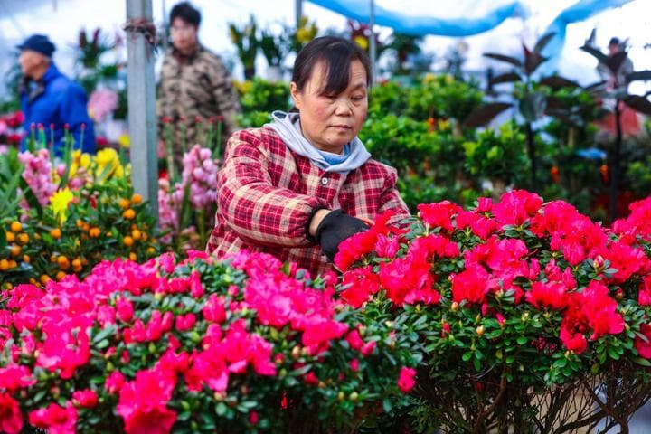 เกษตรกรจีนเพาะปลูกเต็มกำลัง รับ ‘ลี่ชุน’ เริ่มต้นฤดูใบไม้ผลิ