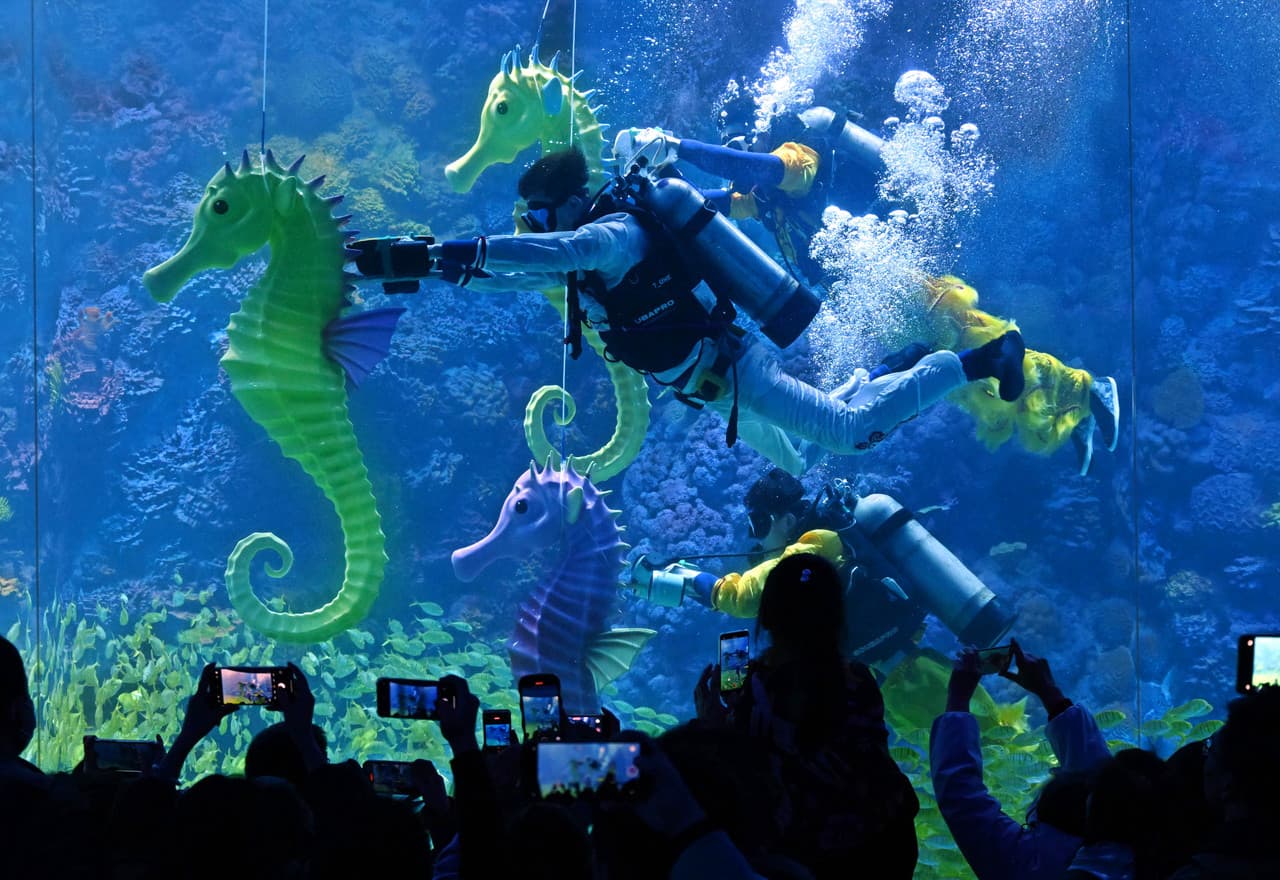 ชิงเต่าจัดโชว์ ‘แข่งม้าน้ำ’ ฉลองตรุษจีนปีม้า